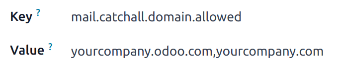 mail.catchall.domain.allowed 系统参数集。