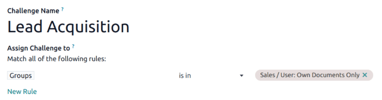 挑战表单分配规则部分的视图。