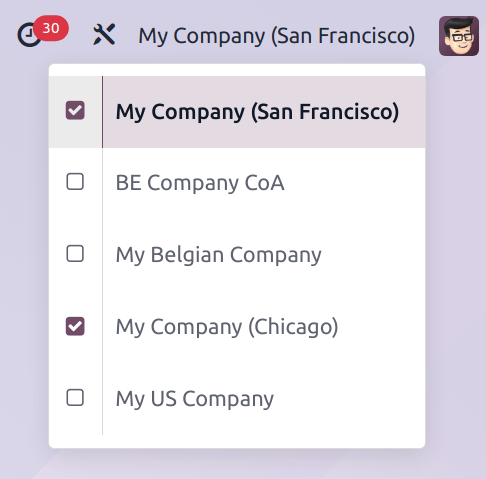 用户登录数据库后，可访问的公司列表示例。