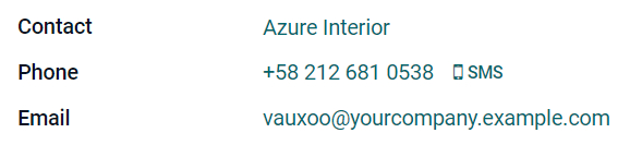 表单视图上的联系人详细信息功能