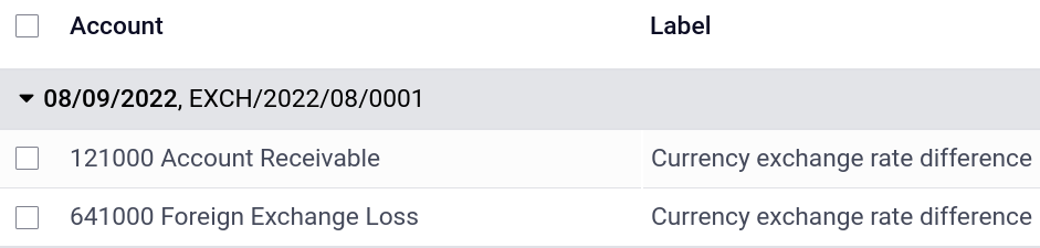汇率日记账录入。