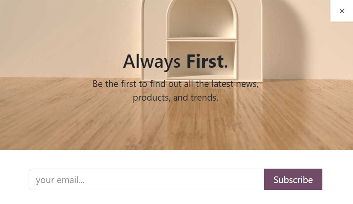 示例展示了新闻简报弹出块在 Odoo 网站上的显示方式。
