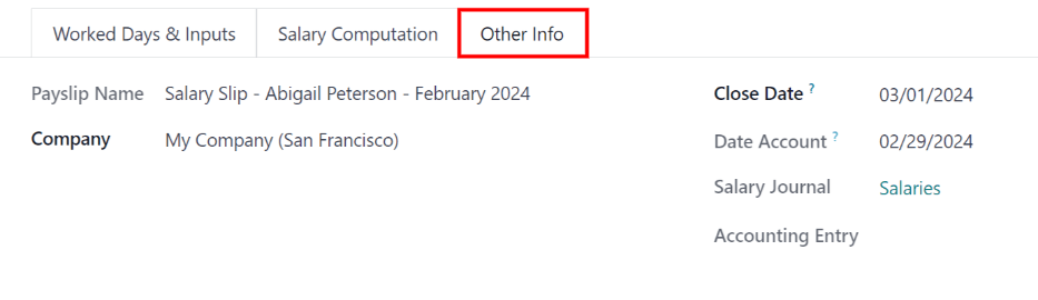 在其他信息标签页中填写的字段。
