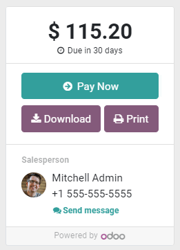 "客户门户"中发票上的"立即支付"按钮。