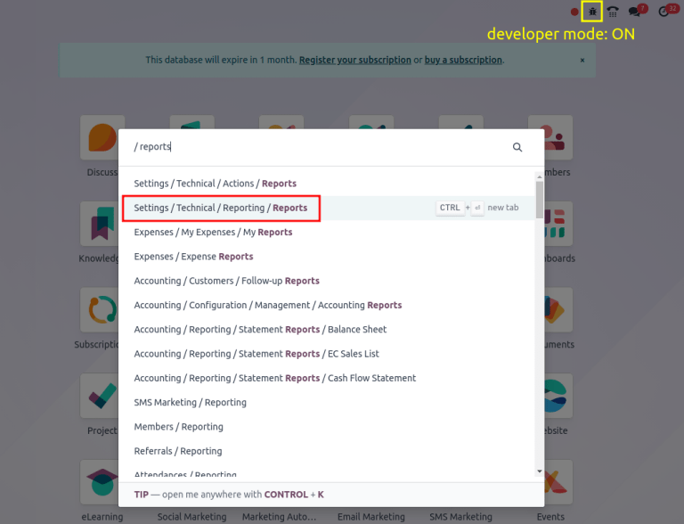 显示 "报告" 的全局搜索结果。