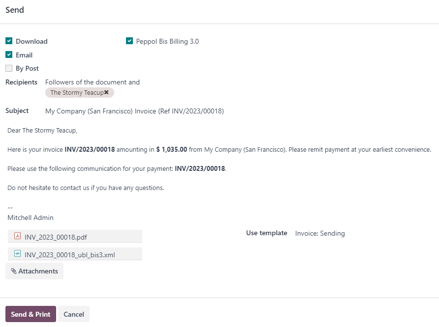 选中 Peppol 选项后，电子邮件将附带电子发票 XML 文件。