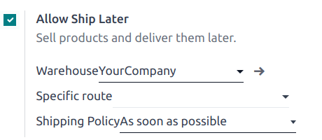 设置以启用和配置稍后发货功能