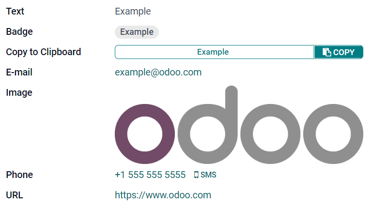 不同小部件的文本字段示例